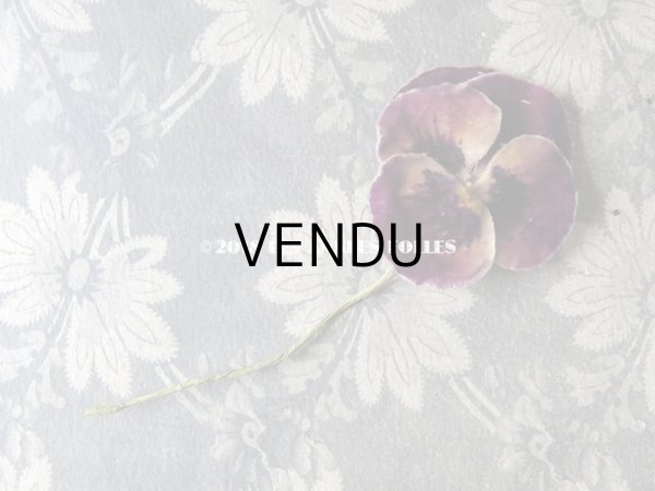 画像10: アンティーク  パンジーの布花 ベルベットのコサージュ (10)