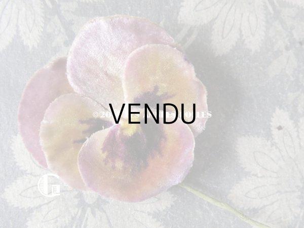 画像6: アンティーク  パンジーの布花 ベルベットのコサージュ (6)