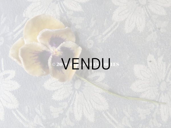 画像13: アンティーク  パンジーの布花 ベルベットのコサージュ (13)