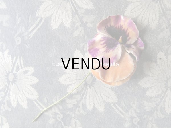 画像3: アンティーク  パンジーの布花 ベルベットのコサージュ (3)