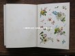 画像19: 19世紀　アンティーク 本 セラミック用 図案集 ロココ調の花模様 ルイ15世スタイル (19)