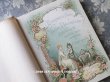 画像1: 19世紀　アンティーク 本 セラミック用 図案集 ロココ調の花模様 ルイ15世スタイル (1)