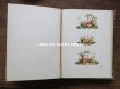 画像14: 19世紀　アンティーク 本 セラミック用 図案集 ロココ調の花模様 ルイ15世スタイル (14)