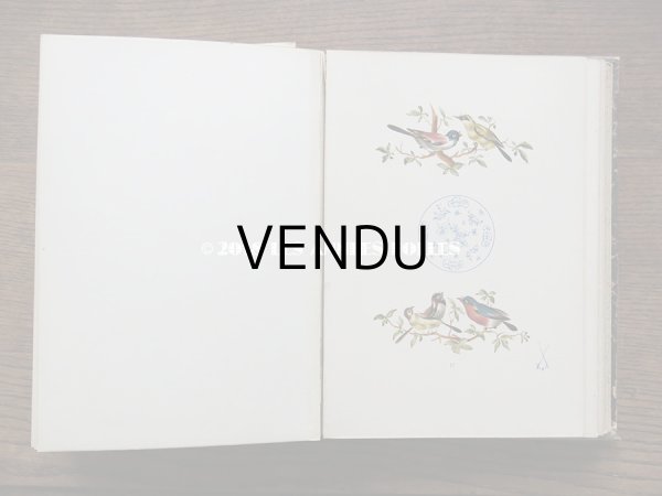 19世紀 アンティーク 本 セラミック用 図案集 ロココ調の花模様 ルイ15