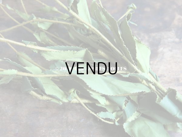 画像9: 1900年代 アンティーク マーガレットの布花のブーケ (9)