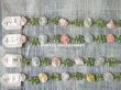 画像3: 1920年代 アンティーク 薔薇のロココトリム パステルカラー ロココリボン 22cm (3)