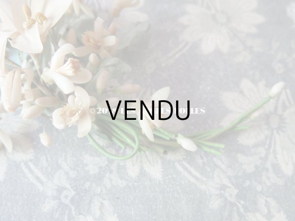 画像4: 1900年代 アンティーク ワックスフラワーのヘッドリース 白百合 & オレンジブロッサム ウェディング 結婚式 ティアラ (4)