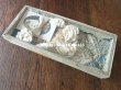 画像2: 19世紀末 アンティーク 硝子の蓋の紙箱入り コミュニオンのヘッドリース & オモニエール & ロザリオ (2)