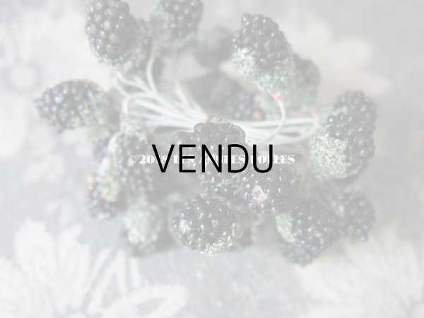 画像5: 1900年代 アンティーク ブラックベリー　コサージュ材料  (5)