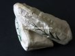 画像6: 18世紀 アンティーク  シルク製 ベビー用シューズ  白百合の刺繍入り  (6)