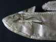 画像15: 18世紀 アンティーク シルク製 ベビー用シューズ  白百合の刺繍入り  (15)