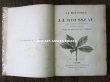 画像3: 1805年 初版 薔薇の画家 ルドゥテの植物画 65枚【 ジャン=ジャック・ルソーの植物学 】 BOTANIQUE DE J.J.ROUSSEAU (3)