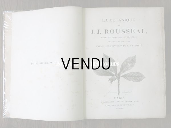 画像4: 1805年 初版 薔薇の画家 ルドゥテの植物画 65枚【 ジャン=ジャック・ルソーの植物学 】 BOTANIQUE DE J.J.ROUSSEAU (4)