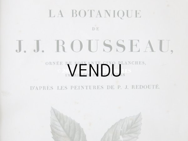 画像5: 1805年 初版 薔薇の画家 ルドゥテの植物画 65枚【 ジャン=ジャック・ルソーの植物学 】 BOTANIQUE DE J.J.ROUSSEAU (5)