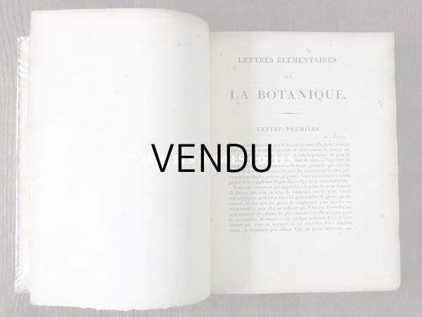 画像7: 1805年 初版 薔薇の画家 ルドゥテの植物画 65枚【 ジャン=ジャック・ルソーの植物学 】 BOTANIQUE DE J.J.ROUSSEAU (7)