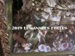画像6: 19世紀末 アンティーク グローブ・ド・マリエ  ピンクのクッション＆ワックスフラワー 天使＆ロカイユ装飾のフレーム (6)
