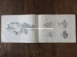 画像11: 1900年代 アンティーク 花屋 フルリストのアルバム ALBUM DU FLEURIST (11)