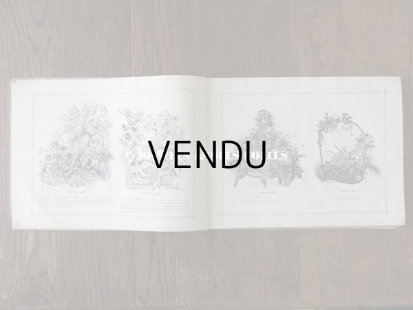 画像8: 1900年代 アンティーク 花屋 フルリストのアルバム ALBUM DU FLEURIST (8)