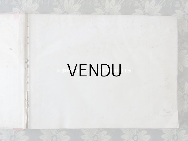 画像3: 1900年代 アンティーク 花屋 フルリストのアルバム ALBUM DU FLEURIST (3)