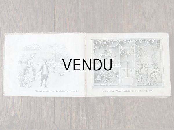 画像4: 1900年代 アンティーク 花屋 フルリストのアルバム ALBUM DU FLEURIST (4)