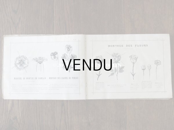 画像5: 1900年代 アンティーク 花屋 フルリストのアルバム ALBUM DU FLEURIST (5)