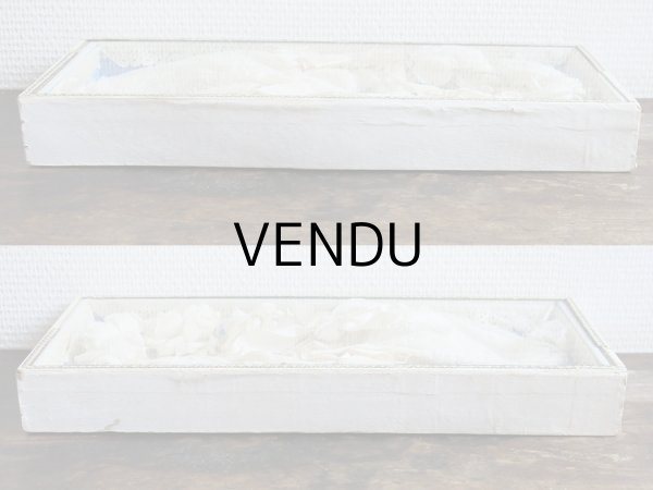 画像7: アンティーク 硝子の蓋のショーケース入り コミュニオンのヘッドリース & オモニエール & ハンカチ　プレザントワール (7)