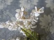 画像12: 19世紀末 アンティーク  オフホワイトの花のコサージュ　布花 (12)