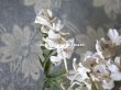 画像7: 19世紀末 アンティーク  オフホワイトの花のコサージュ　布花 (7)