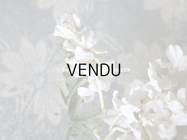 画像7: 19世紀末 アンティーク  オフホワイトの花のコサージュ　布花 (7)