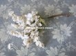 画像9: 19世紀末 アンティーク  オフホワイトの花のコサージュ　布花 (9)