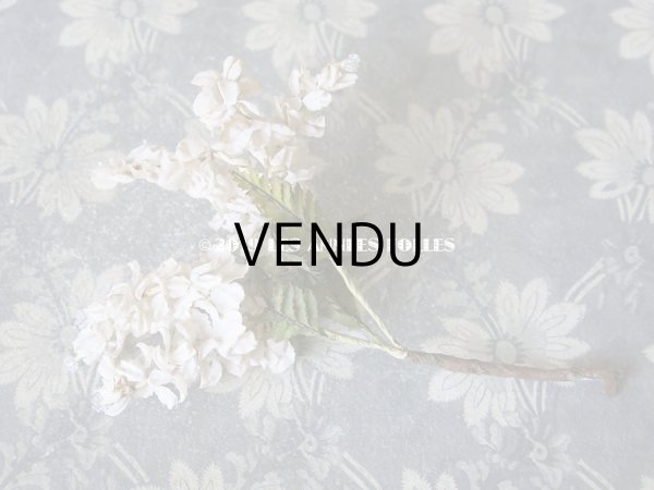 画像10: 19世紀末 アンティーク  オフホワイトの花のコサージュ　布花 (10)