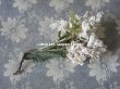 画像3: 19世紀末 アンティーク  オフホワイトの花のコサージュ　布花 (3)