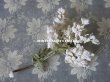画像14: 19世紀末 アンティーク  オフホワイトの花のコサージュ　布花 (14)