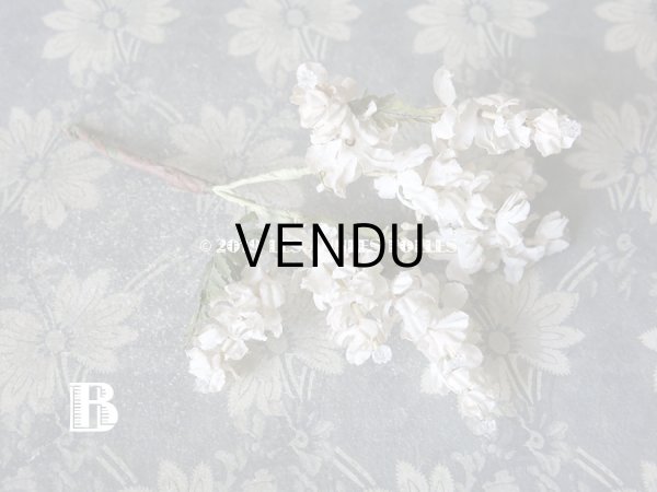 画像5: 19世紀末 アンティーク  オフホワイトの花のコサージュ　布花 (5)