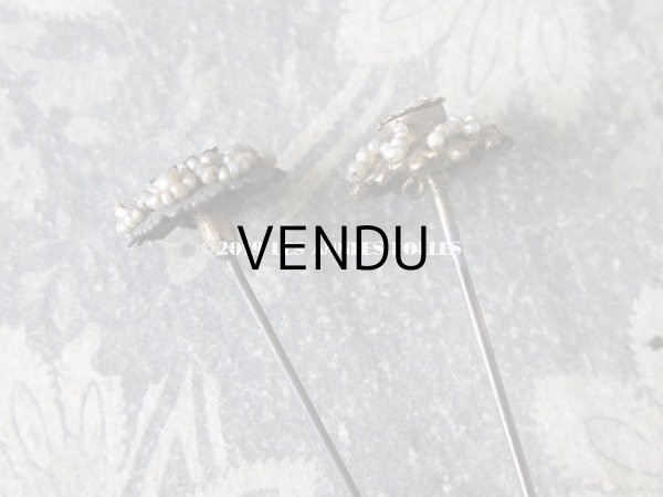 画像5: 19世紀 アンティーク　ビーズ刺繍のハットピン 2ピースのセット (5)