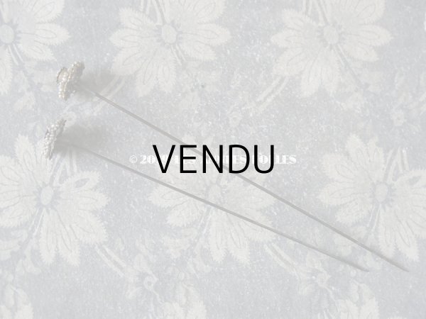 画像4: 19世紀 アンティーク　ビーズ刺繍のハットピン 2ピースのセット (4)