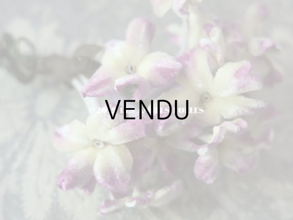 画像5: アンティーク シルクベルベットの小さな布花 (5)