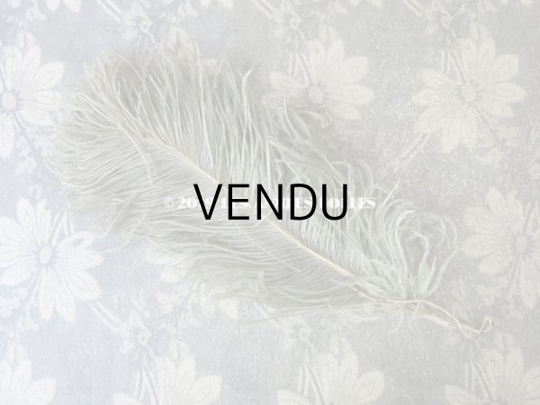 画像3: 19世紀末 アンティーク 小さなフェザー グレイッシュ・ブルーグリーン 羽飾り  (3)