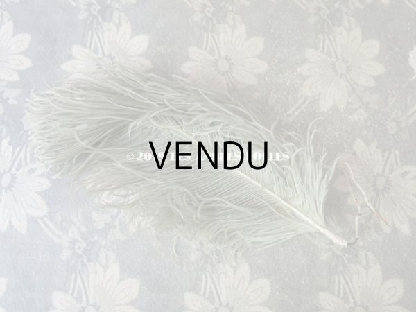 画像7: 19世紀末 アンティーク 小さなフェザー グレイッシュ・ブルーグリーン 羽飾り  (7)