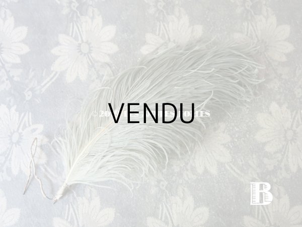 画像5: 19世紀末 アンティーク 小さなフェザー グレイッシュ・ブルーグリーン 羽飾り  (5)