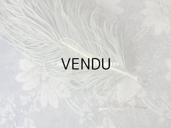 画像6: 19世紀末 アンティーク 小さなフェザー グレイッシュ・ブルーグリーン 羽飾り  (6)