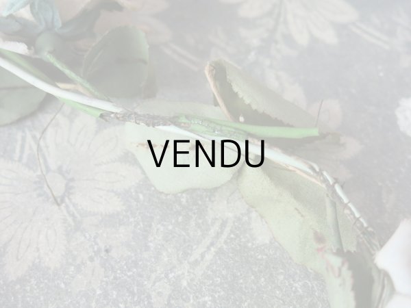 画像12: アンティーク 淡いピンクの薔薇のリース (12)