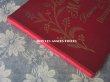 画像3: アンティーク アルファベットの刺繍図案帳 N 218 MANUEL DE DESSINS & CHIFFRES POUR BRODERIES - N.ALEXANDRE&CIE. MAURICE LAJEUNESSE SUCCR .- (3)