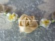 画像3: アンティーク シャンパンゴールドの薔薇のロココモチーフ (3)
