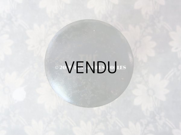 画像9: 19世紀 アンティーク ナポレオン3世 パピエマシェ 昆虫柄 ティーキャニスター　茶筒 (9)