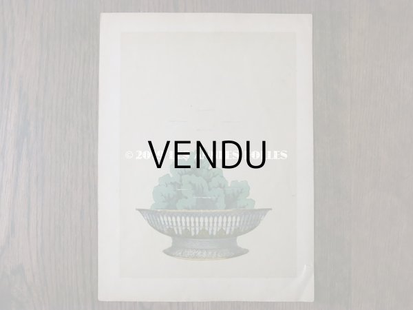 画像11: 1840〜1860年 アンティーク 希少本 子供用遊べる絵本 フラワーアレンジメント L'EMPIRE DE LA REINE DES FLEURS  (11)