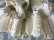 画像1: 1900年代 アンティーク  シルク製 プリーツ ドレスの裾   (1)
