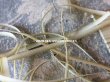 画像3: アンティーク  リボン刺繍 & ロココトリム用 シルク製 リボン 4mm幅 カーキ色 約5m RUBANS TRIANON POUR BRODERIES DE STYLE NUANCE 136 (3)