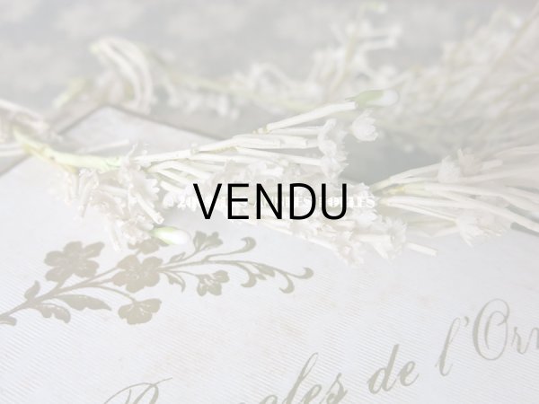 画像13: アンティーク 白い花＆ワックスフラワーの花冠 ヘッドリース ウェディング 結婚式 ティアラ (13)