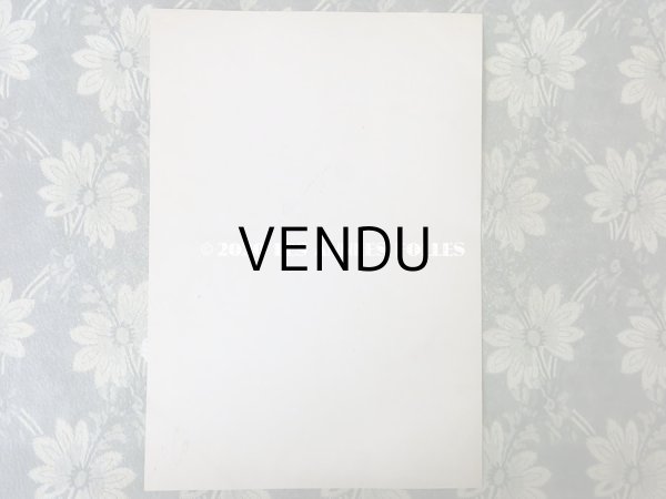 画像3: 1862年 アンティーク モード版画 モード雑誌 MODES VRAIES - MUSEE DES FAMILLES - (3)